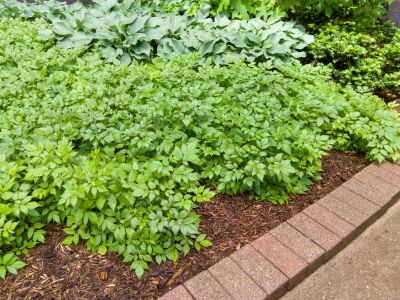 Brick Hardscaping in Norwalk, CT